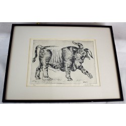 Etching of a Chimera Bull (Framed print under glass)